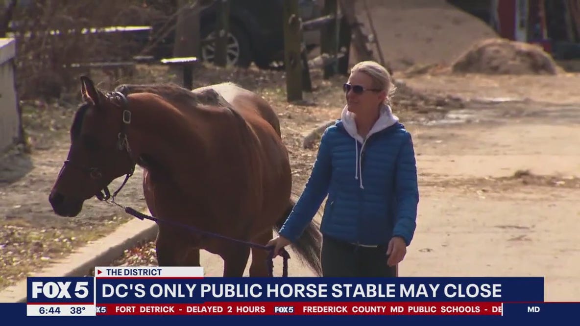 DC's only public horse stable at risk of closing